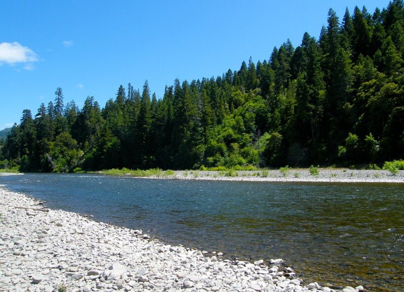 Benbow State Recreation Area, California, USA